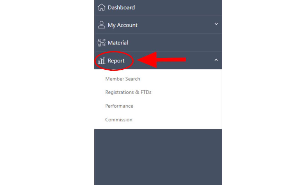 Click on the Report section